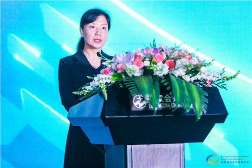 中關(guān)村管委會(huì)國際合作處處長蔣崇華：儲(chǔ)能技術(shù)與產(chǎn)業(yè)在中關(guān)村新時(shí)期創(chuàng)新發(fā)展中將大有可為