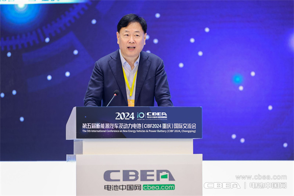 王澤深-中國化學(xué)與物理電源行業(yè)協(xié)會(huì)秘書長(zhǎng)致辭