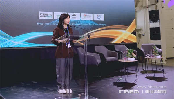 CBIS2026?可持續新能源海外論壇在匈牙利成功舉辦
